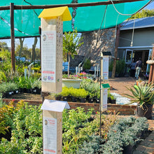 Load image into Gallery viewer, G. Specialised Perspex Roof Bee Hotel - Clips
