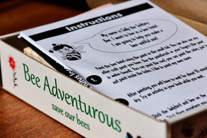 Bee Hotel Activity Kit