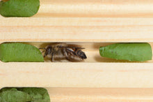 Load image into Gallery viewer, I - Specialised Bee Hotel - Open-View
