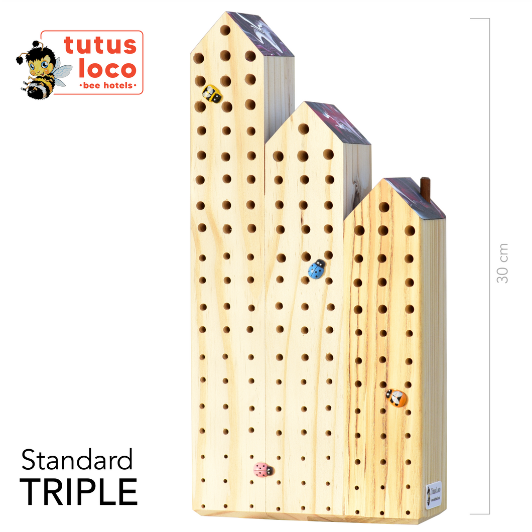 E - Standard Bee Hotel - Triple